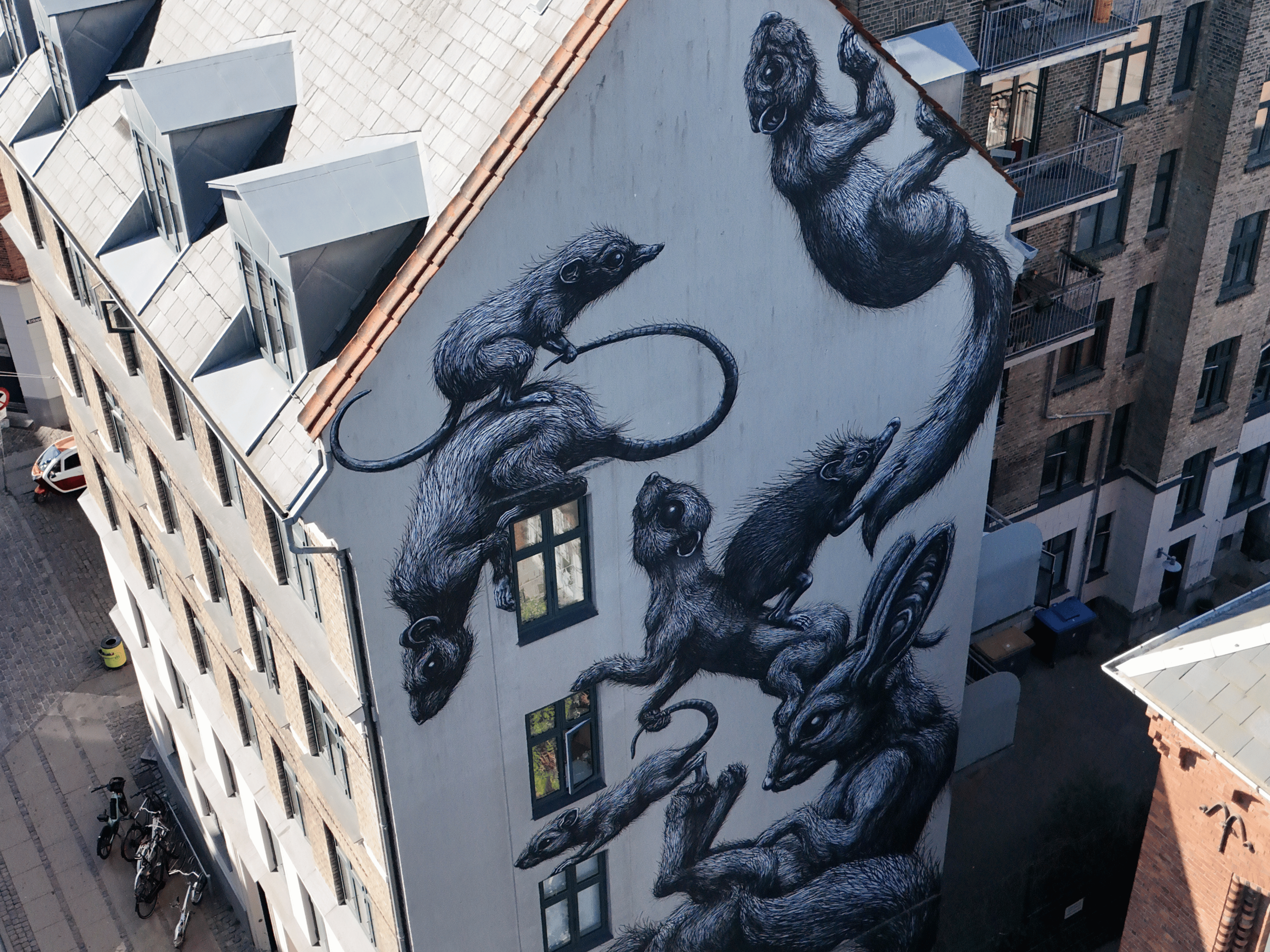 ROA mural in Nørrebro, Copenhagen, during a team-building event
